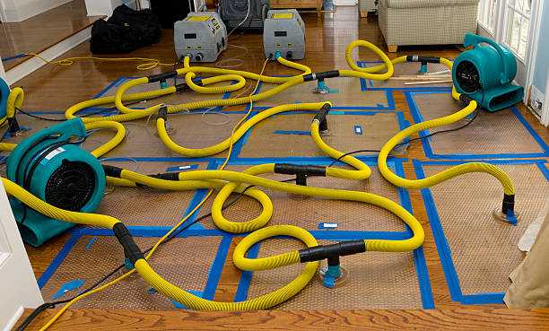 Professional Water Extraction technician working in Columbia, IA